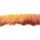 Ruban fourrure LAPIN 10M - Camel