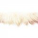 Ruban fourrure LAPIN 10M - Beige