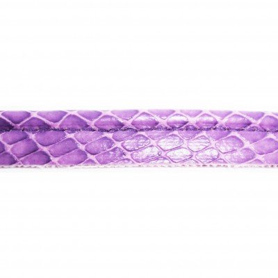 https://magasin-grossiste.com/5566-thickbox/passepoil-motif-serpent-violet.jpg