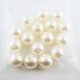 15 Perles de culture en 14 mm