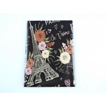 Magnet aimant&eacute; de frigo